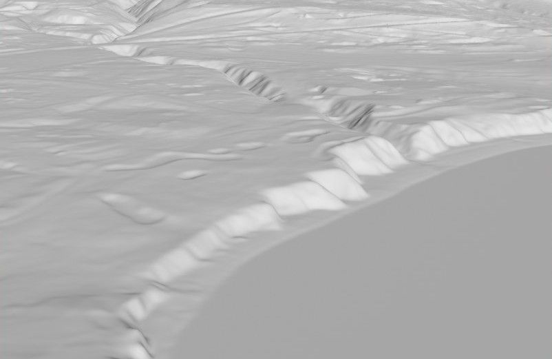 Grayscale bare-earth terrain.
