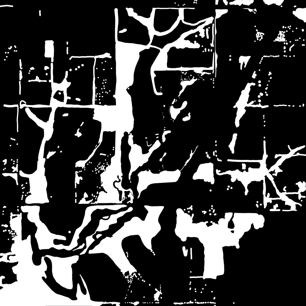 White tree-cover shapes on black.