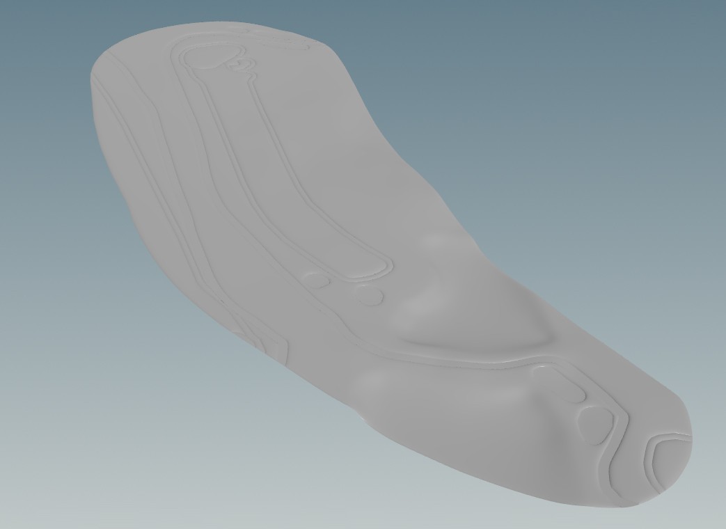 A detailed mesh of the island.