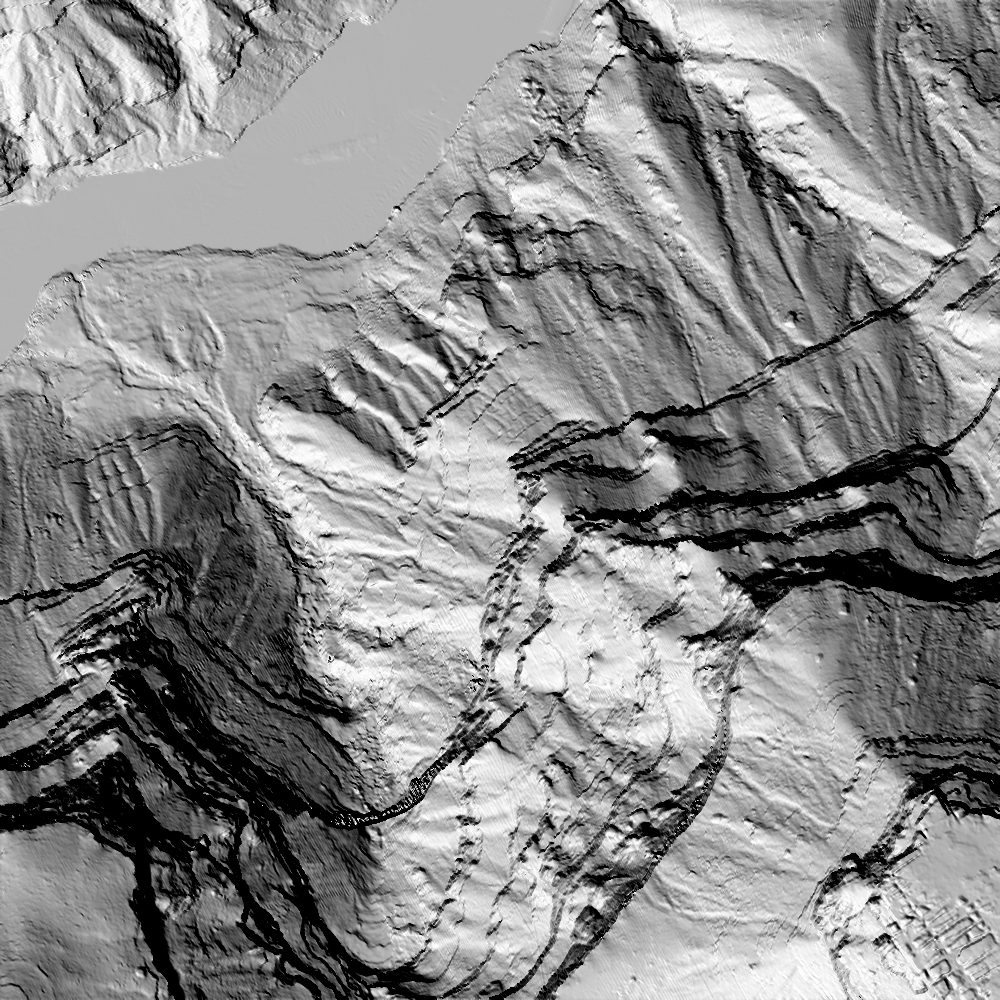 Greyscale hillshade of canyon terrain, with the river filled flat.