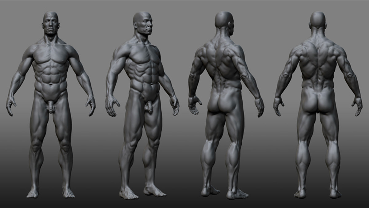 A sculpted male figure shown from four angles.