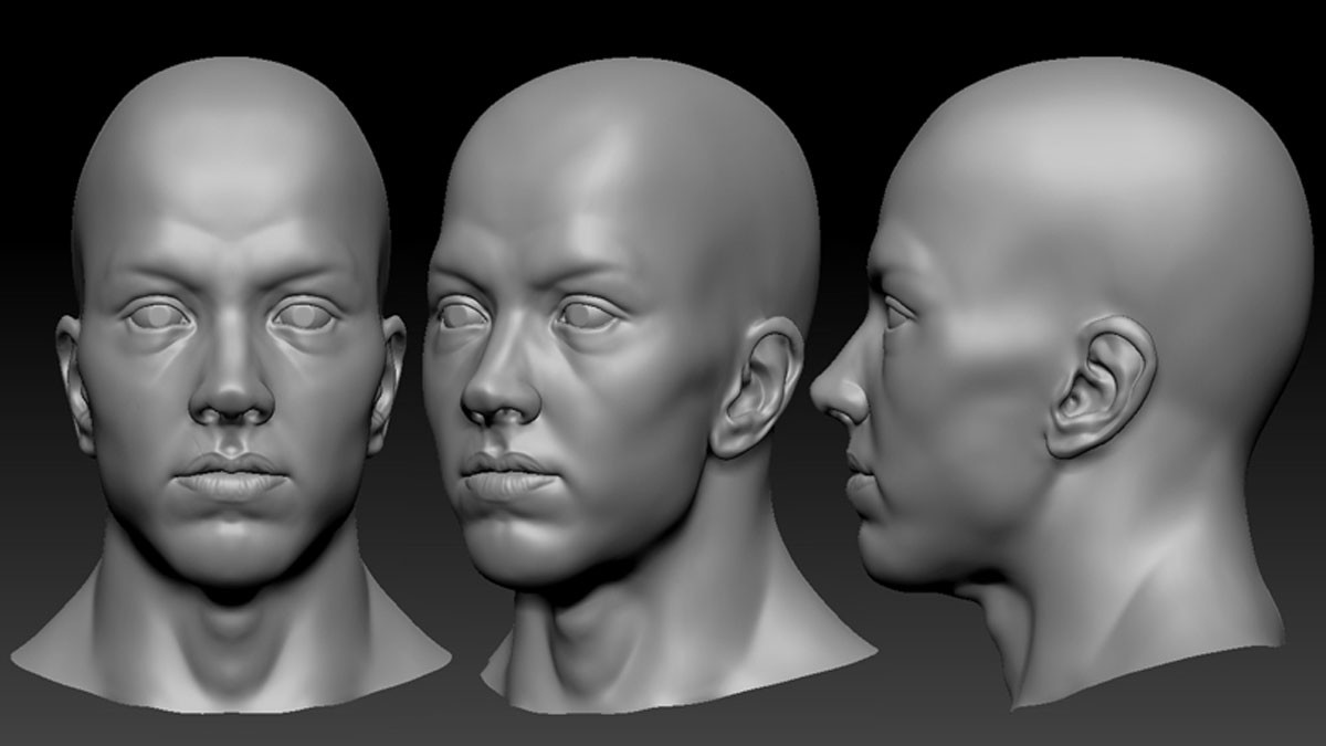 A second sculpted bald head, with a narrower face, shown from the front, three-quarter and side.