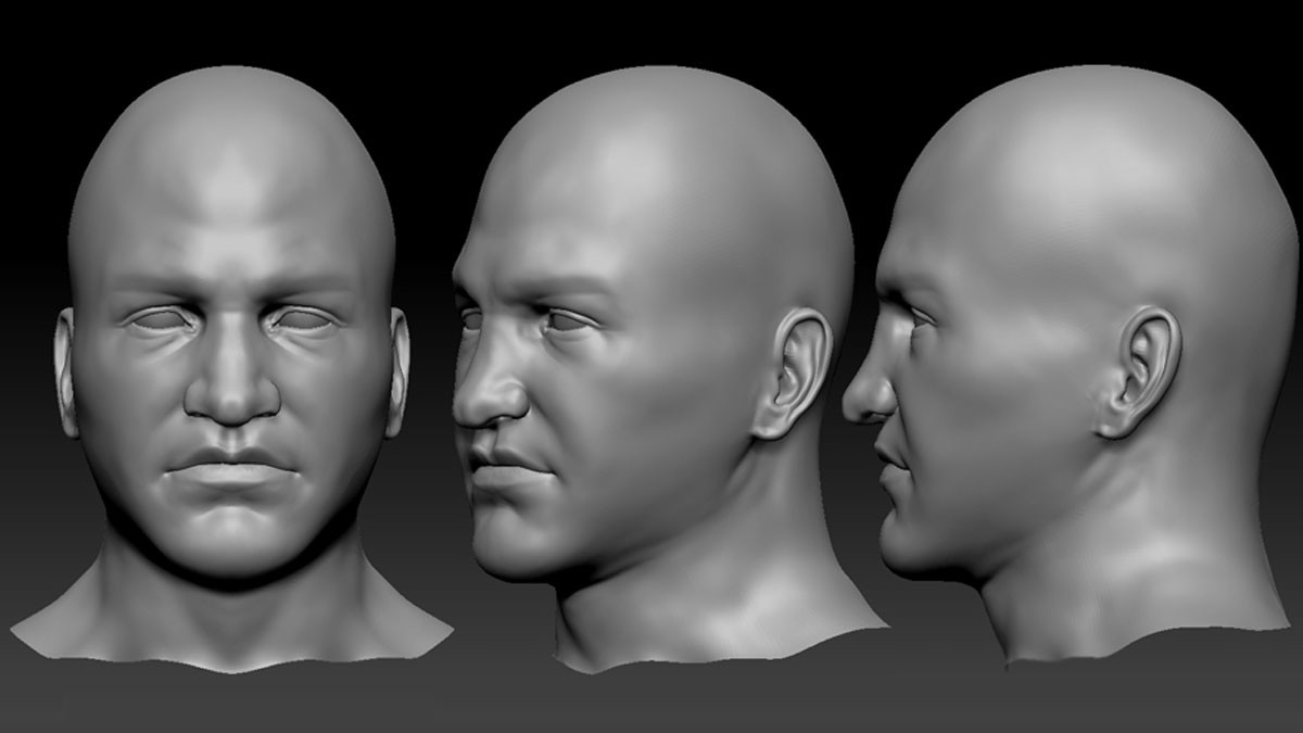 A sculpted bald head with a heavy brow, shown from the front, three-quarter and side.